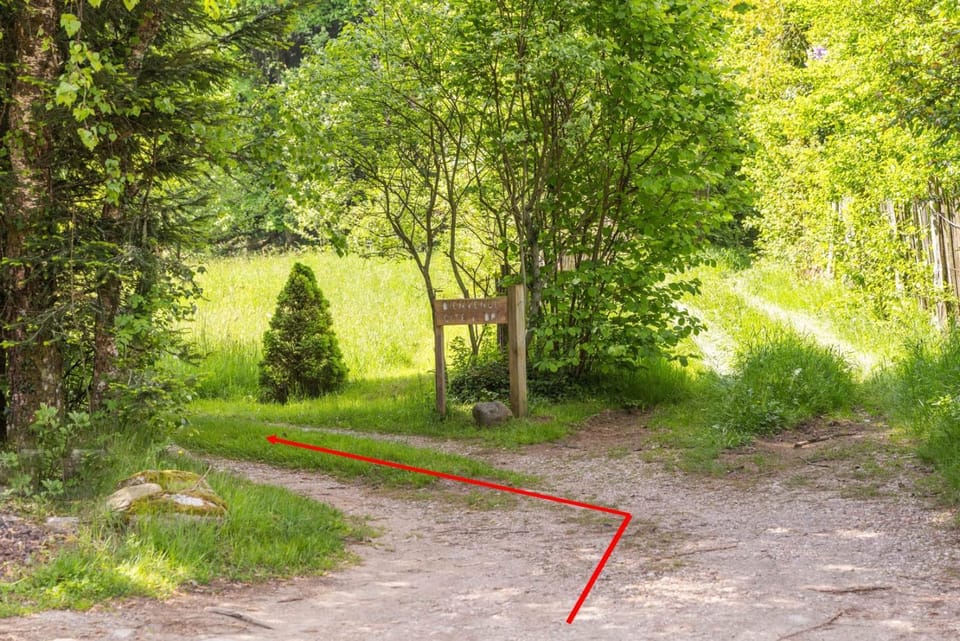 LE GITE DE BRI House in Orbey