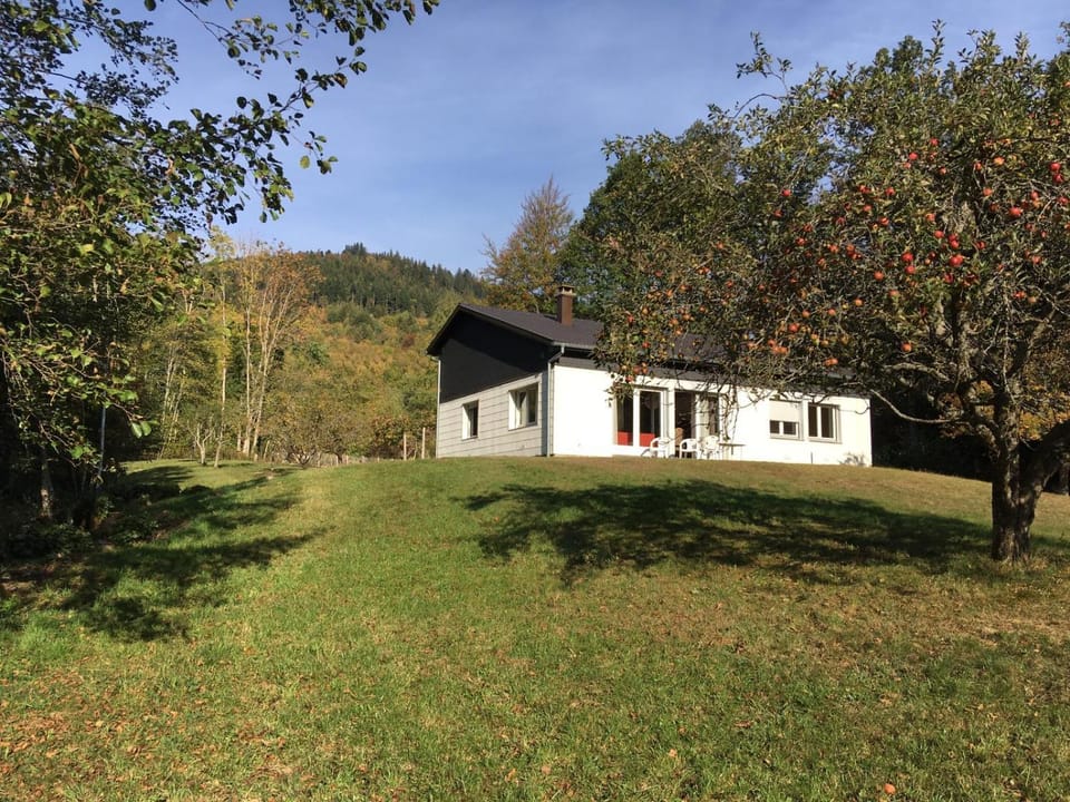 LE GITE DE BRI House in Orbey