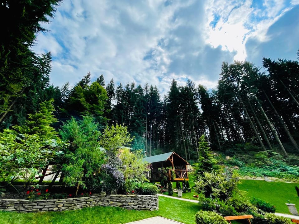 Neighbourhood, Garden, Garden view