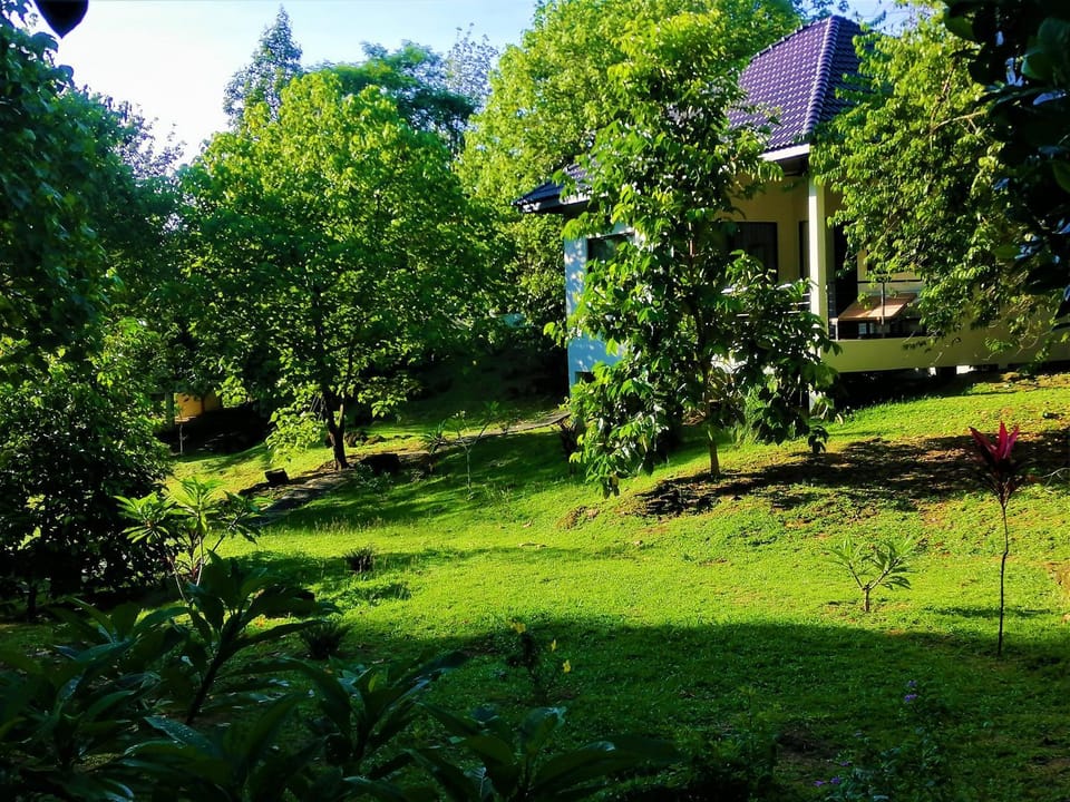 Day, Natural landscape, Other, Garden view
