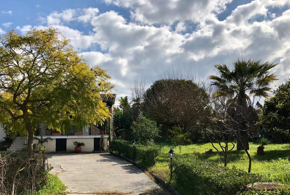 Spring, Garden, Garden view