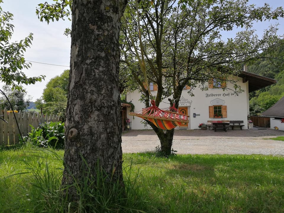 Facade/entrance, Day, Summer, Children play ground, Garden, Garden view, Mountain view