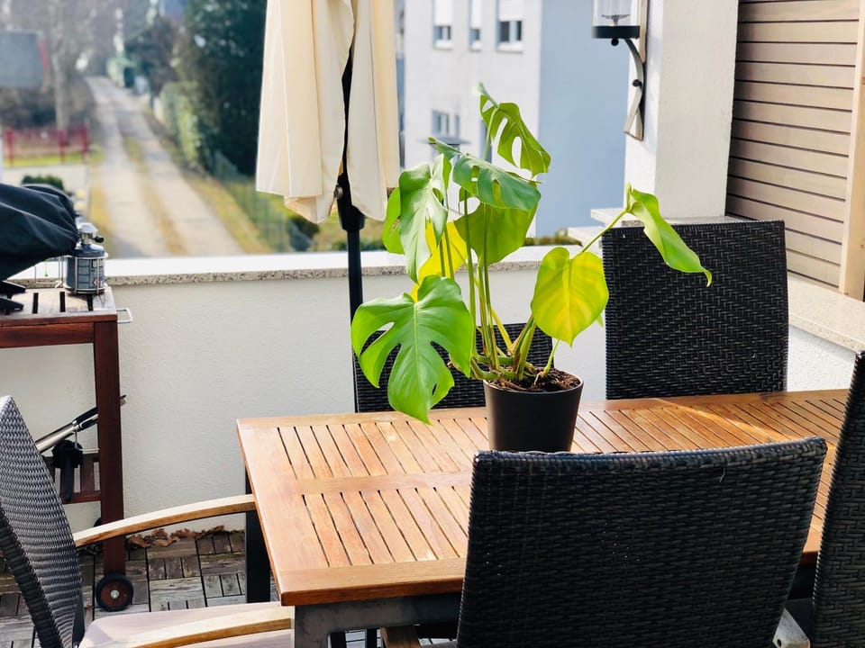 BBQ facilities, Balcony/Terrace