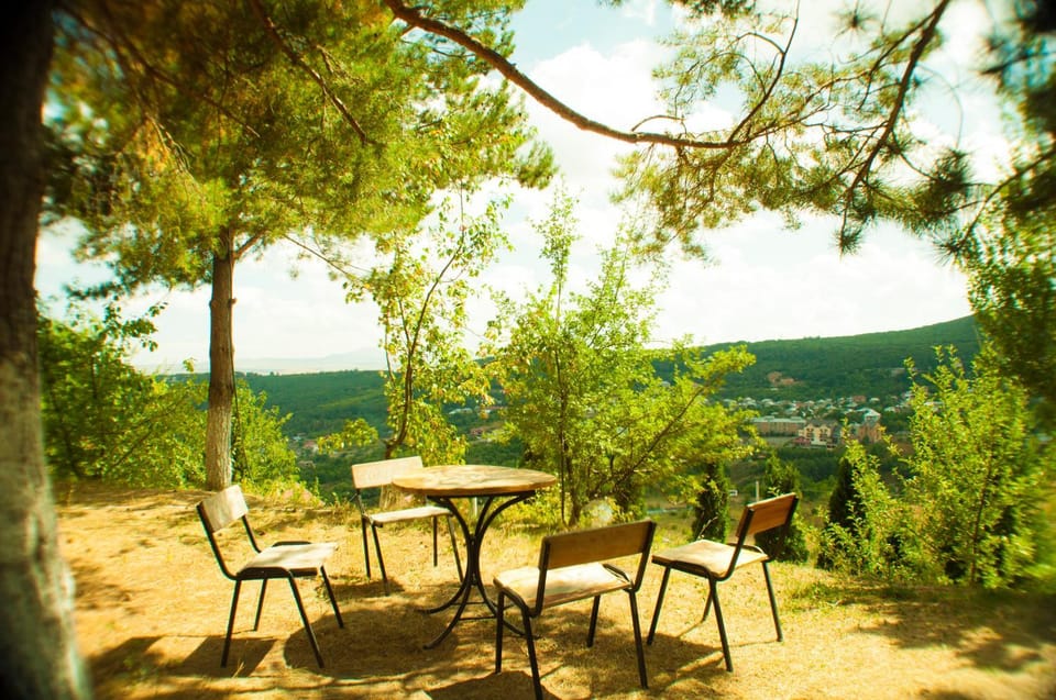 Patio, Garden
