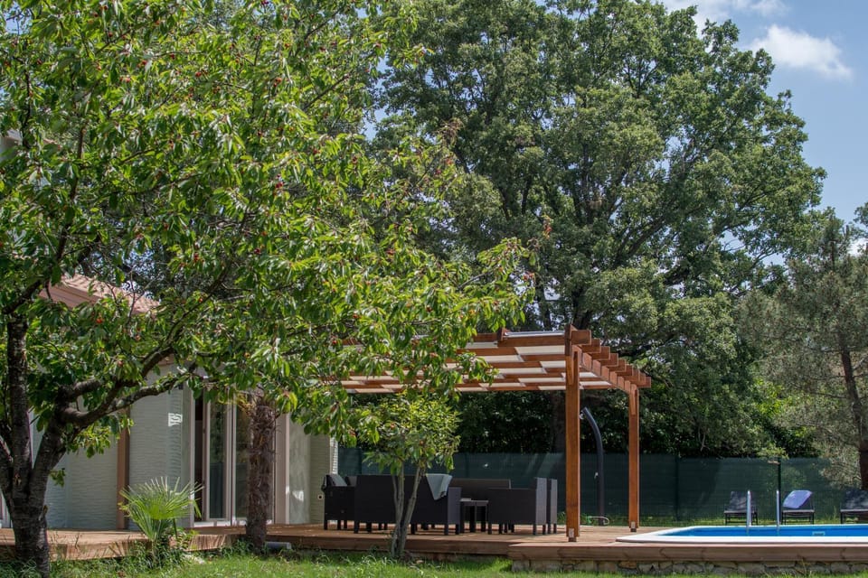 Patio, Garden, Lounge or bar, Swimming pool