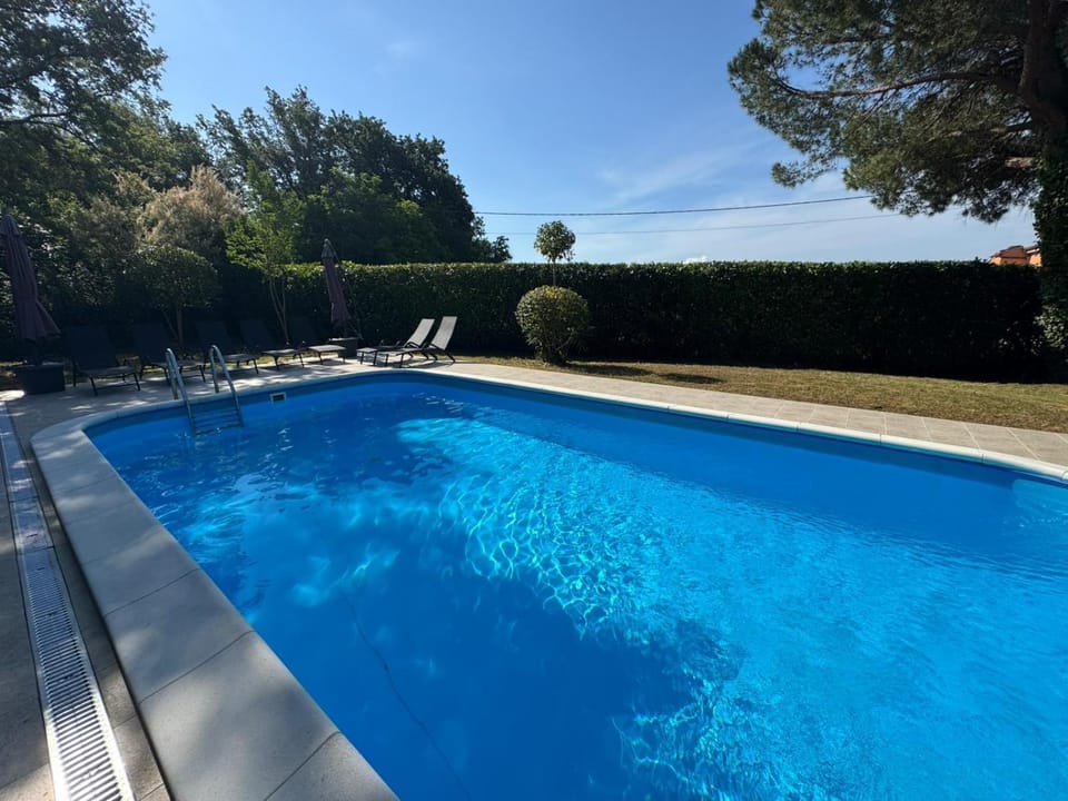 View (from property/room), Swimming pool, sunbed