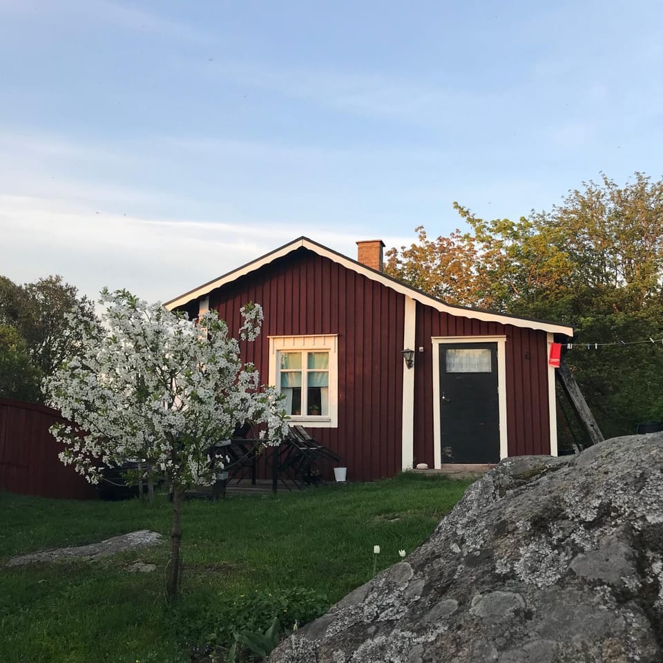 Natural landscape, Garden view