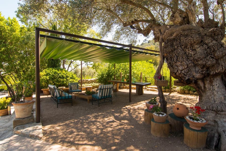 Patio, Garden, Nightclub / DJ, Lounge or bar