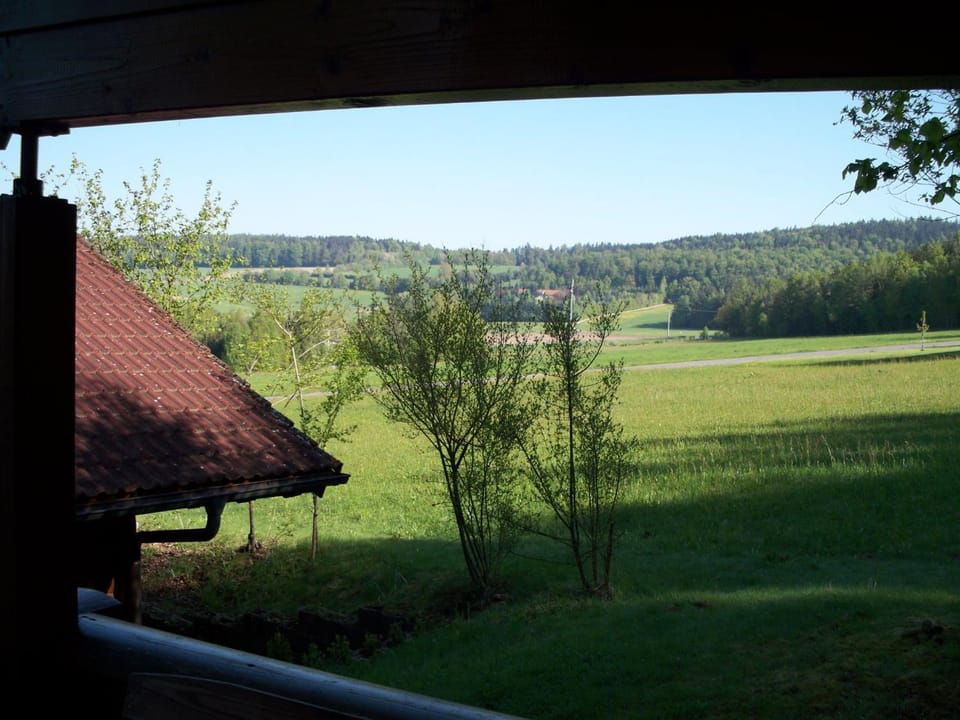 View (from property/room)