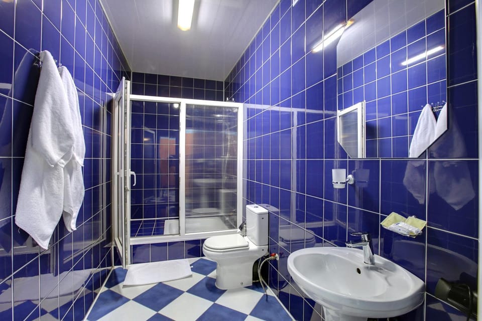 Shower, Toilet, towels