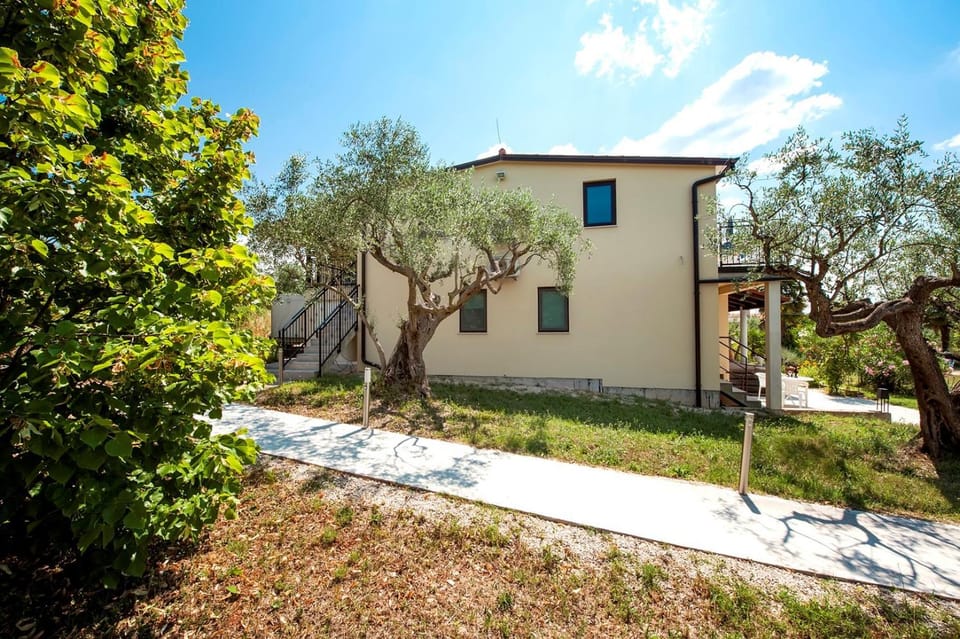 Property building, Garden, Garden view