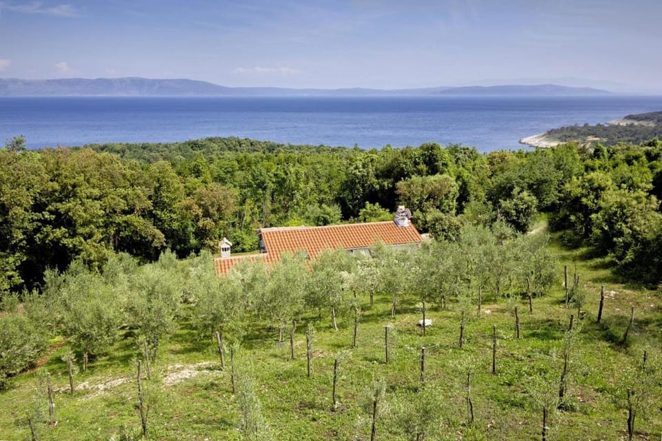 Roinizza in Prtlog (Haus für 4-5 Personen) House in Istria County