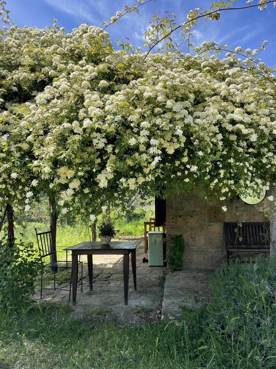 Day, Garden