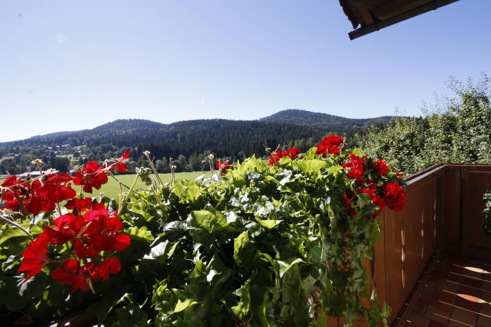 View (from property/room), Balcony/Terrace, Mountain view