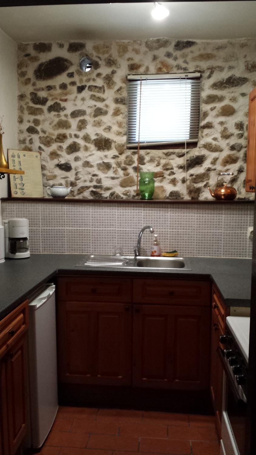 Kitchen or kitchenette, kitchen
