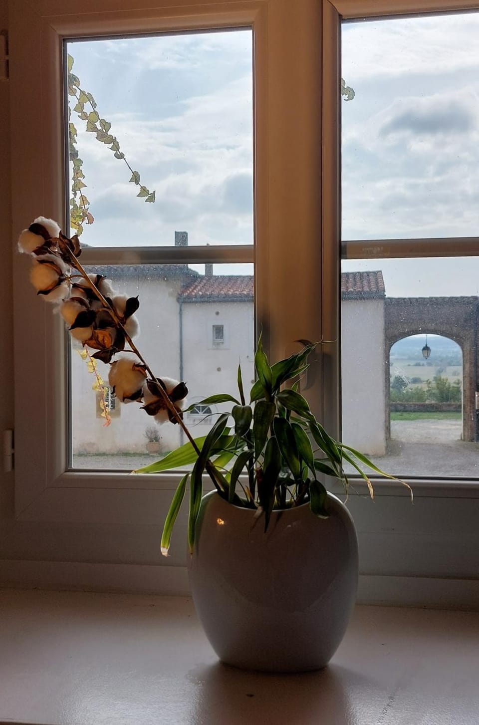 View (from property/room)