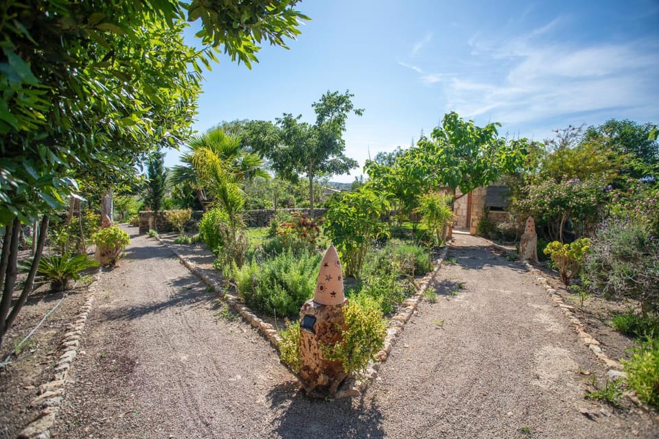 Spring, Natural landscape, Garden, Garden view
