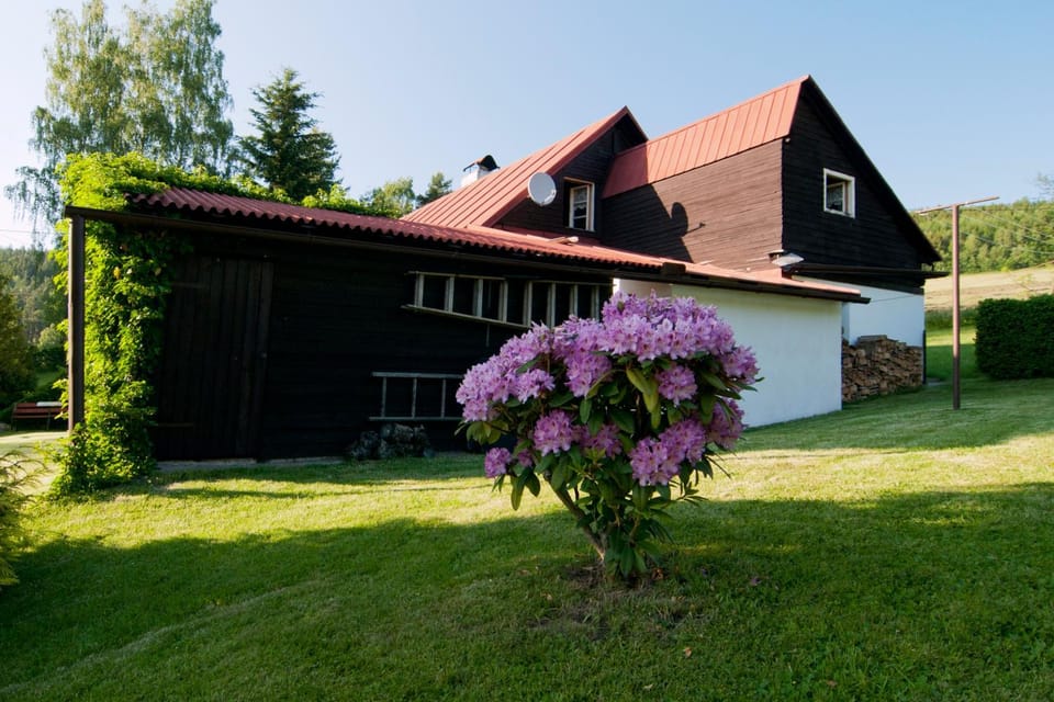 Property building, Garden