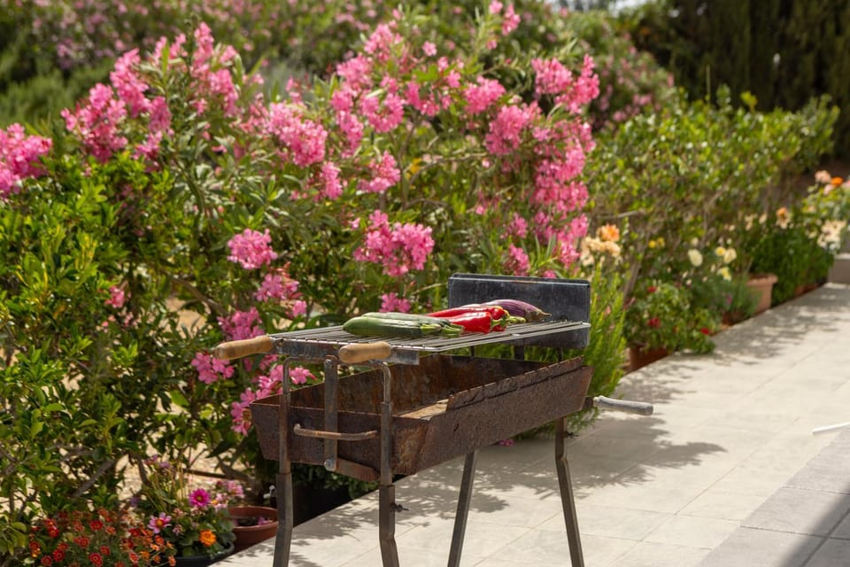Day, BBQ facilities, Garden, Garden view