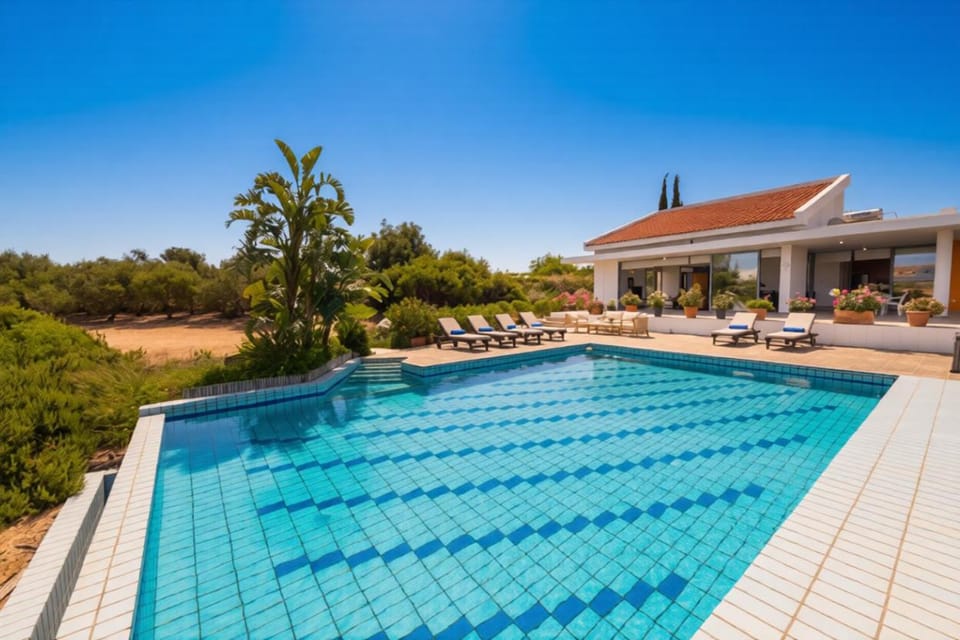 Property building, Swimming pool, sunbed