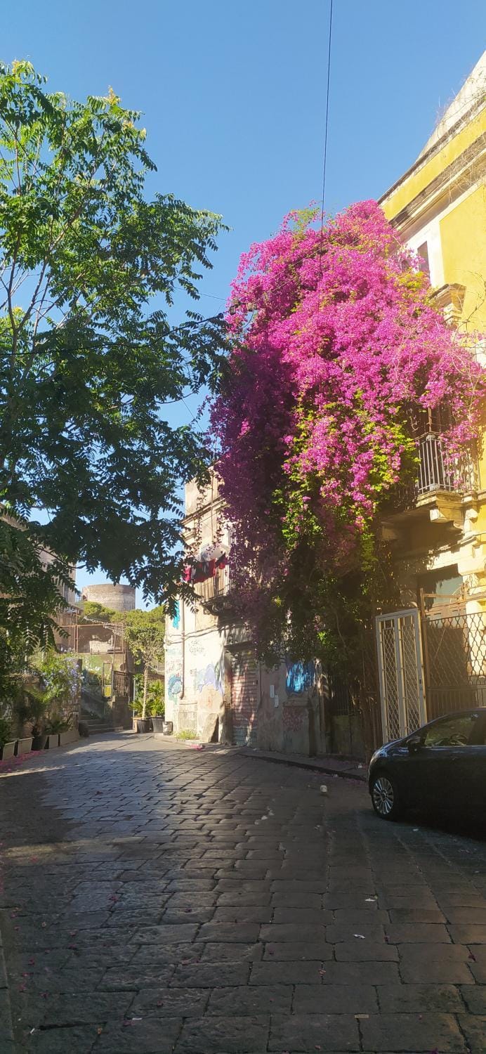 Lina's House Apartment in Catania