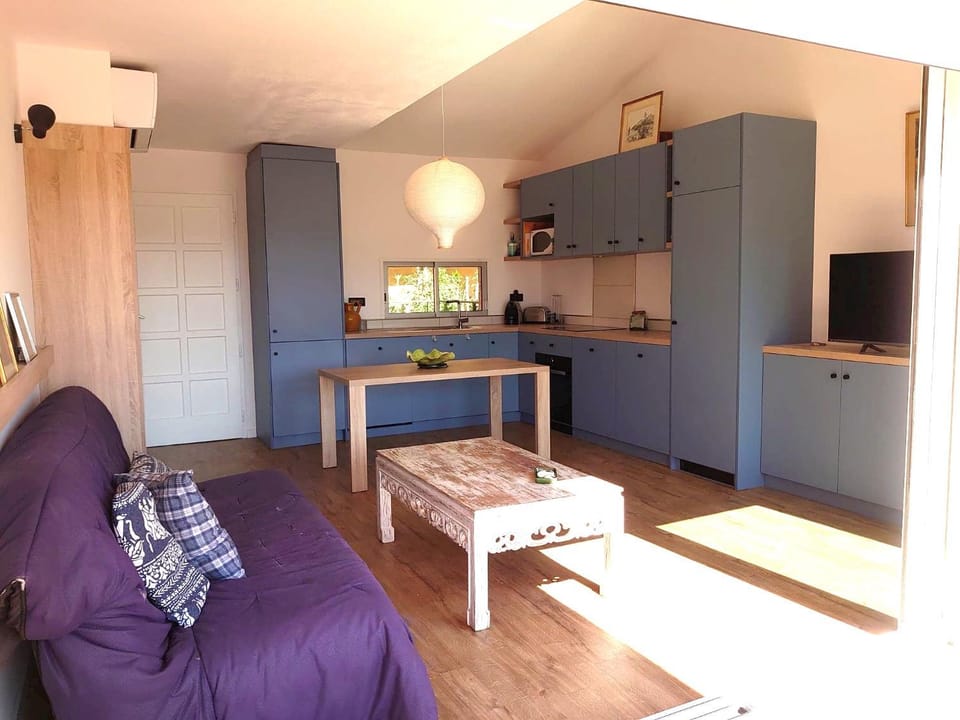 TV and multimedia, Kitchen or kitchenette, Living room, Dining area, minibar, pet friendly, stove