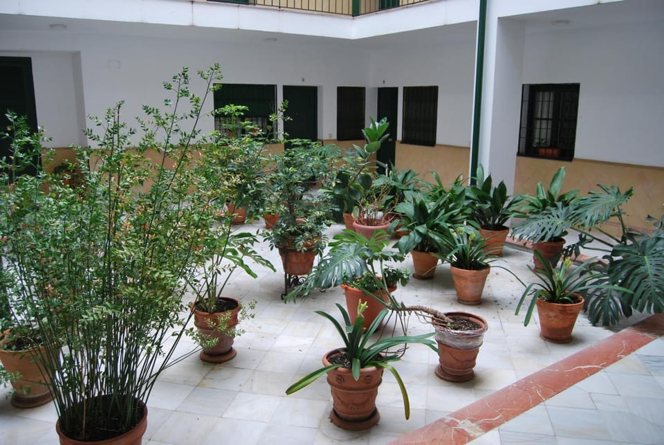 Property building, Patio