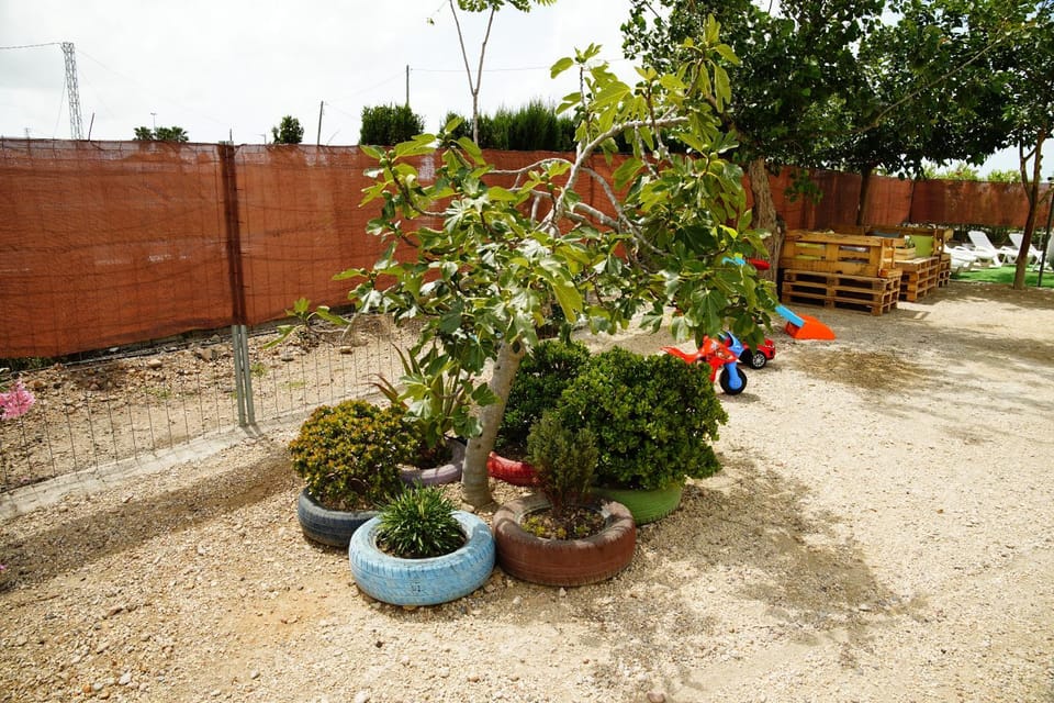 Garden, Garden view