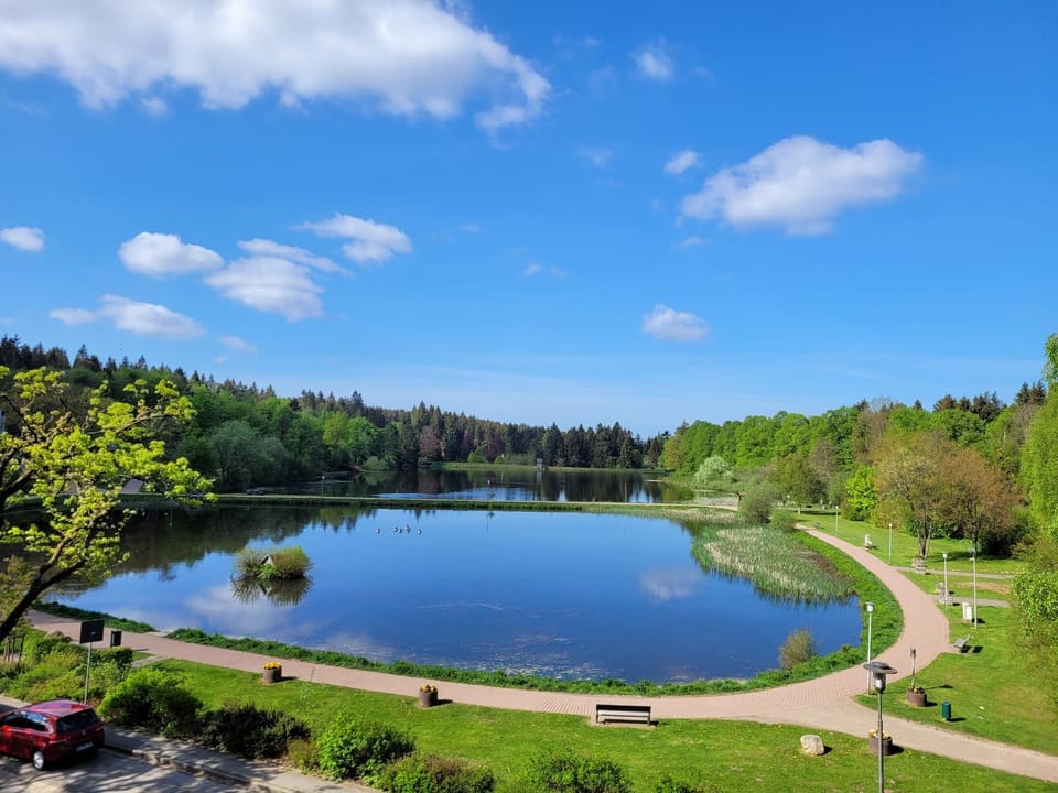 Lake view