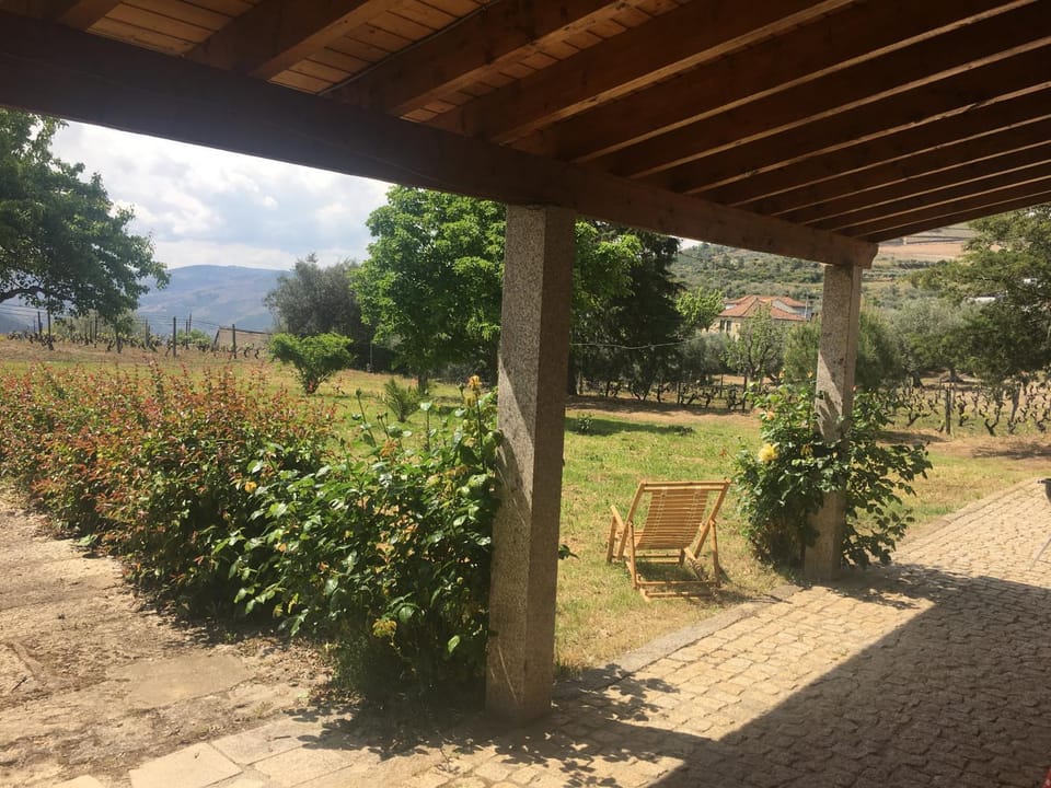 Day, Natural landscape, Garden, Garden view, Mountain view