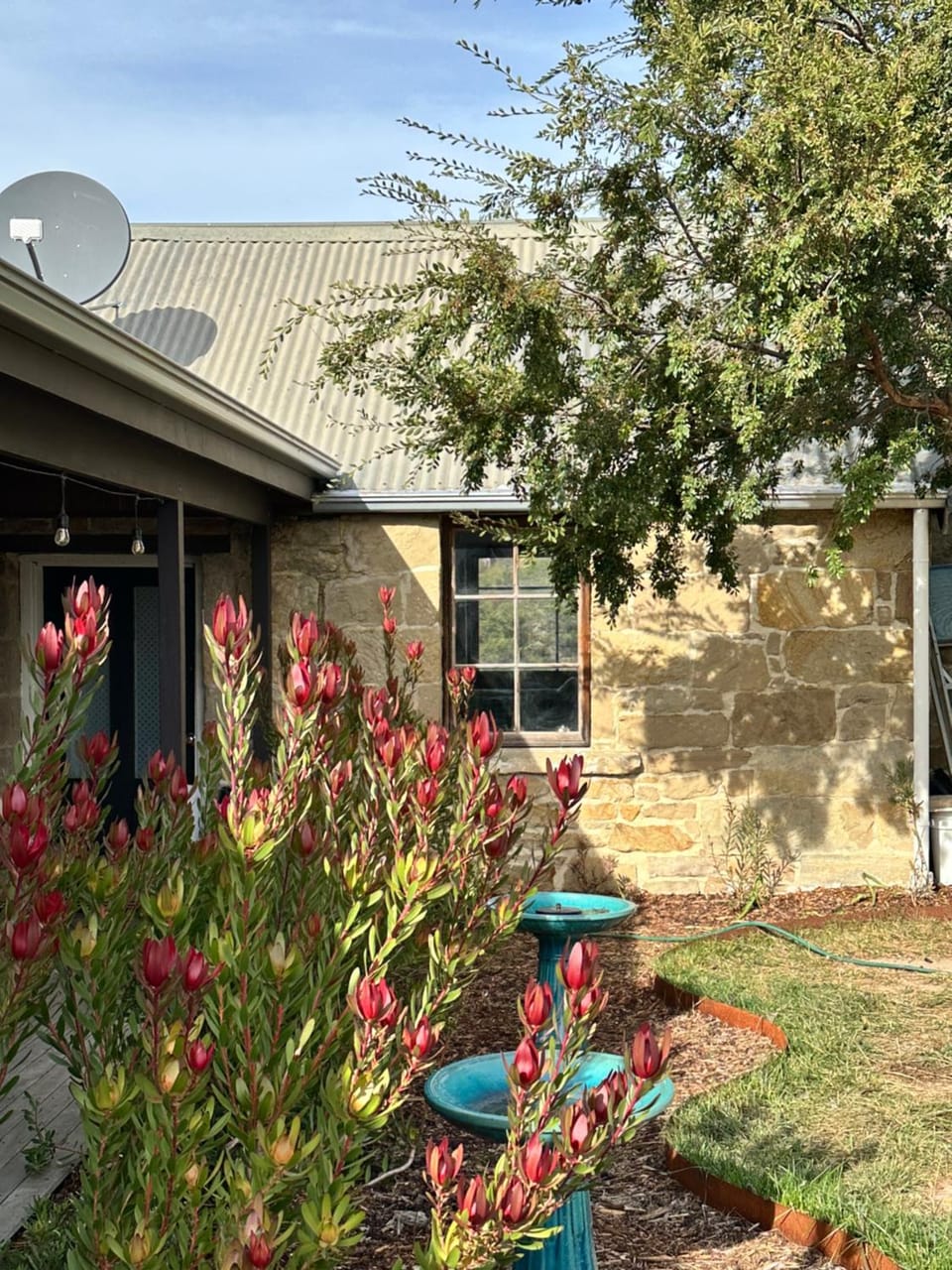 Property building, Garden view