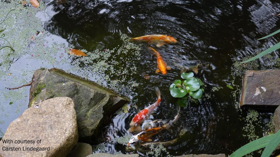 Gîte La Bertichère House in Brittany