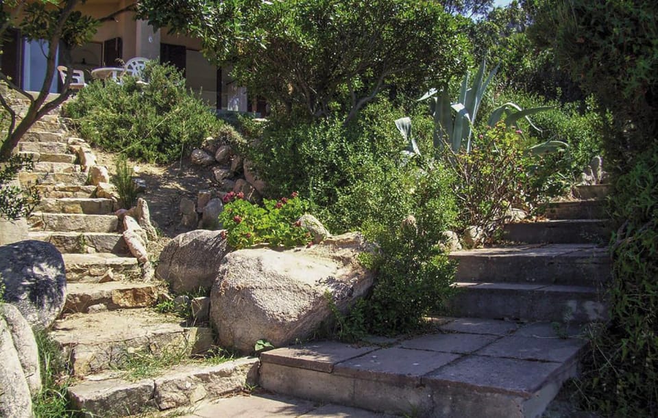 Patio, Facade/entrance, Garden