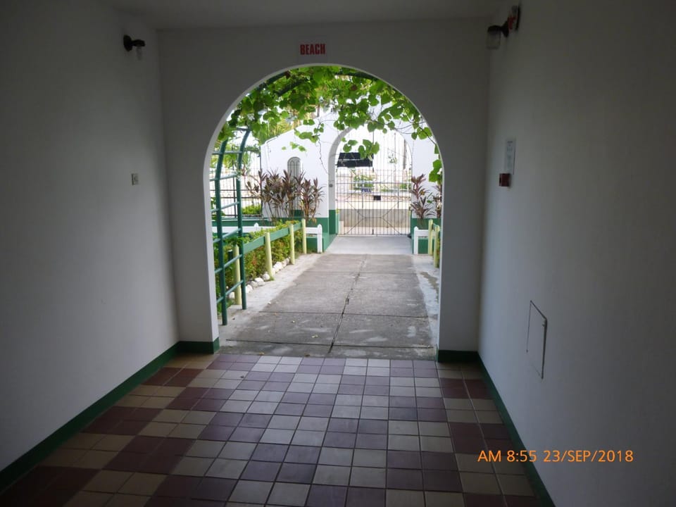 Property building, Facade/entrance, View (from property/room)