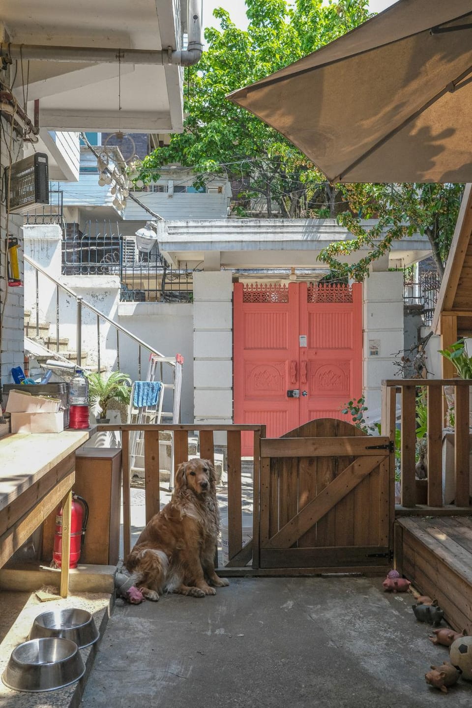 Property building, Animals