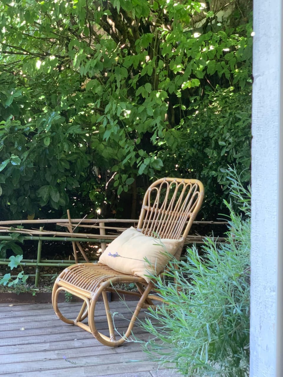 Patio, Garden