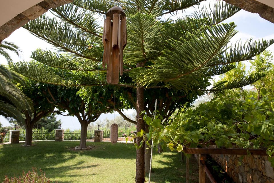 Patio, Garden
