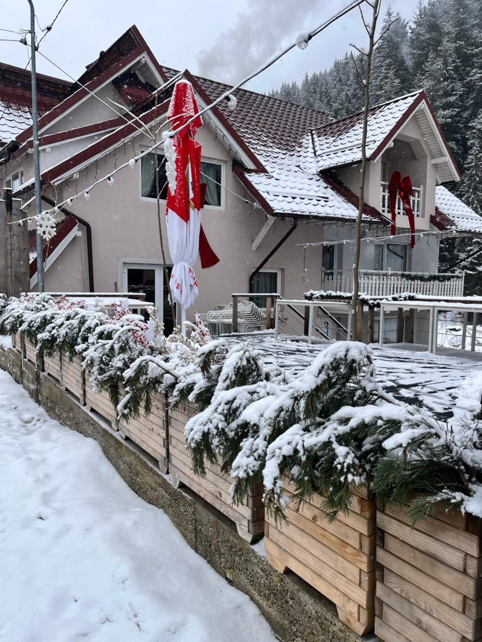 Anelisse Inn Bed and Breakfast in Brașov County