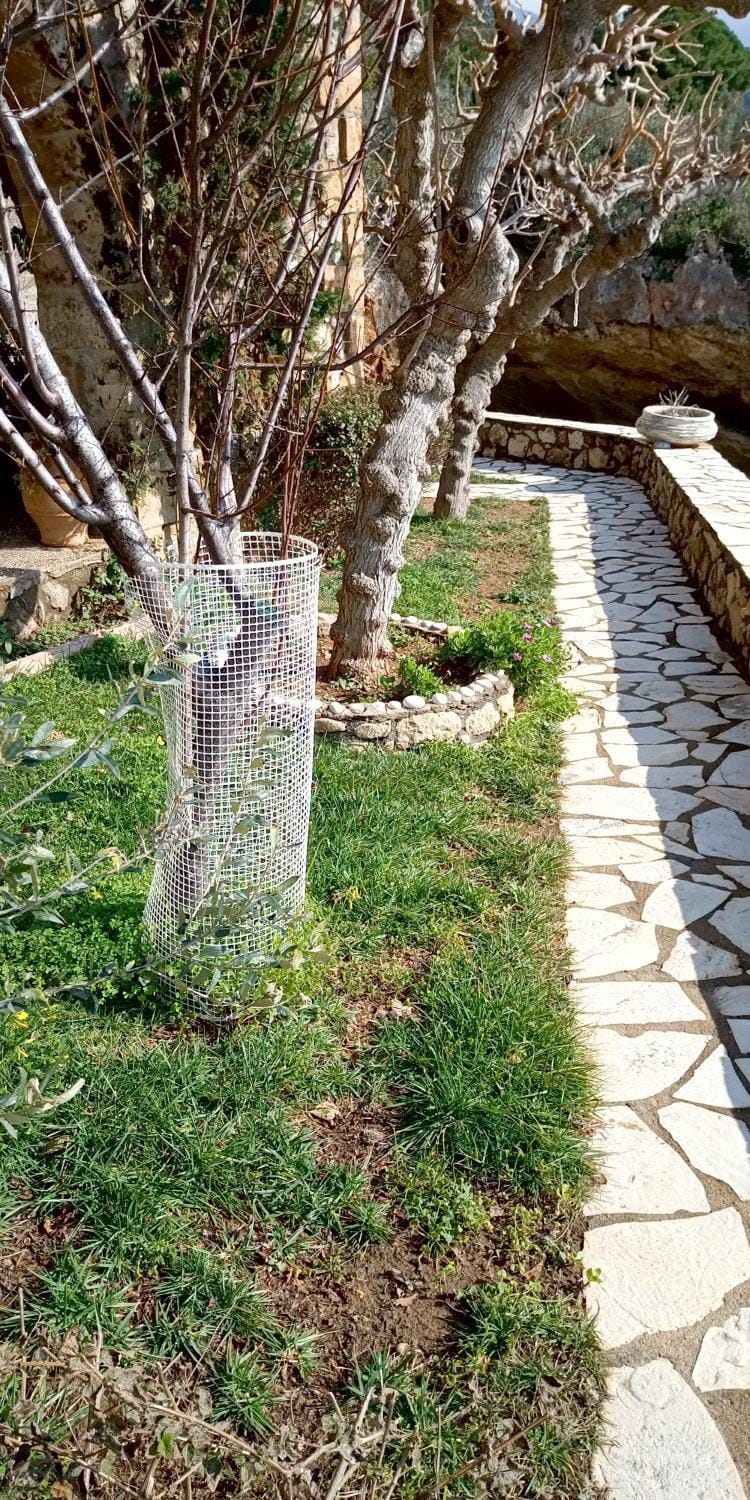 Gorgones, sea-front, great view Apartment hotel in Messenia