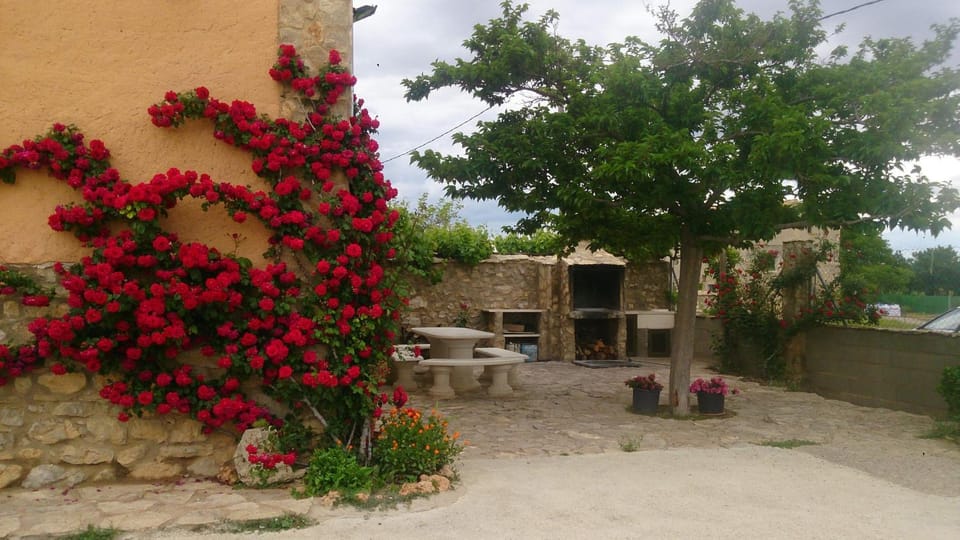 Spring, BBQ facilities