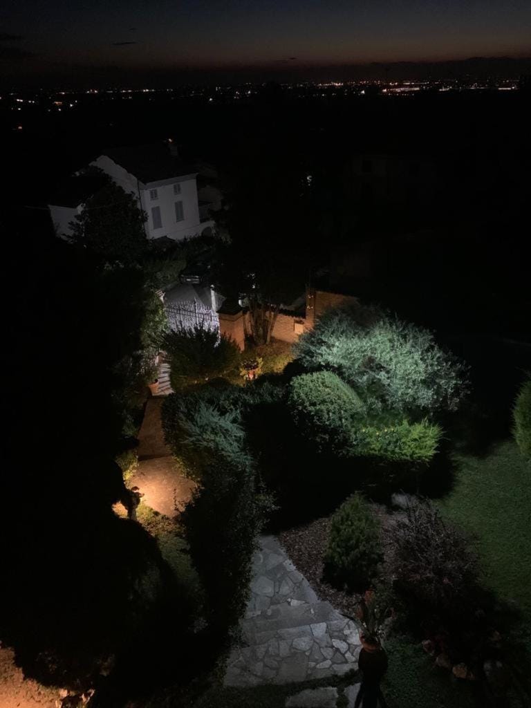 Night, Garden