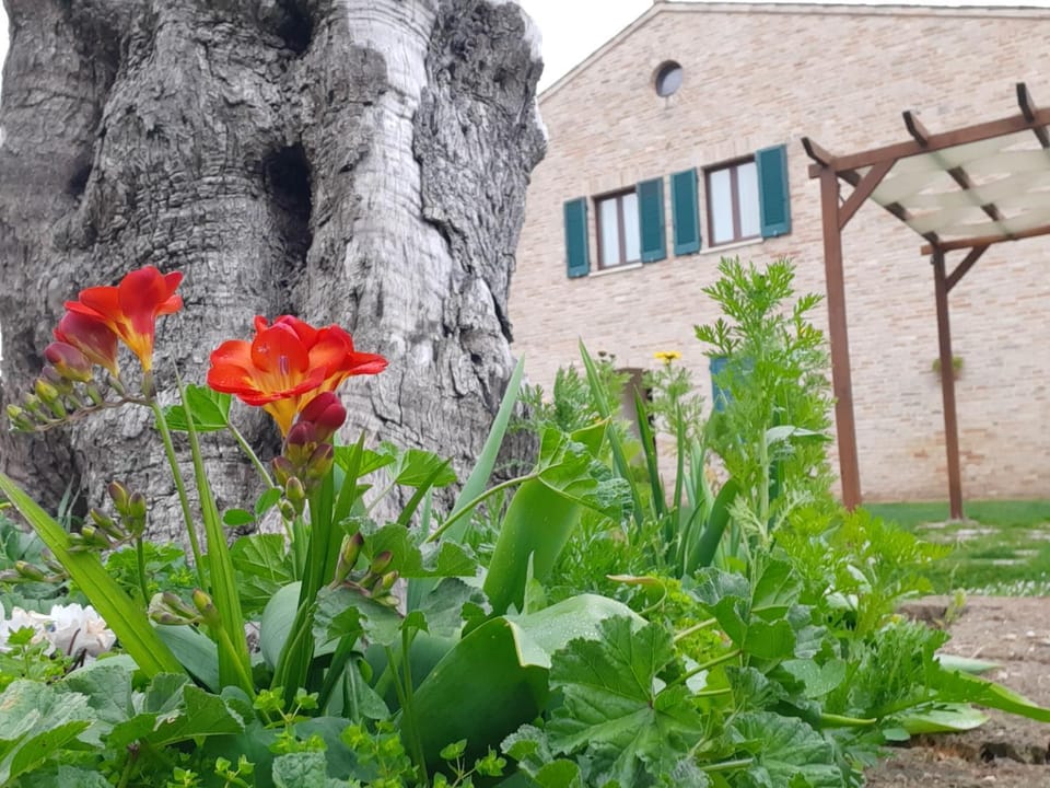 Garden, Garden
