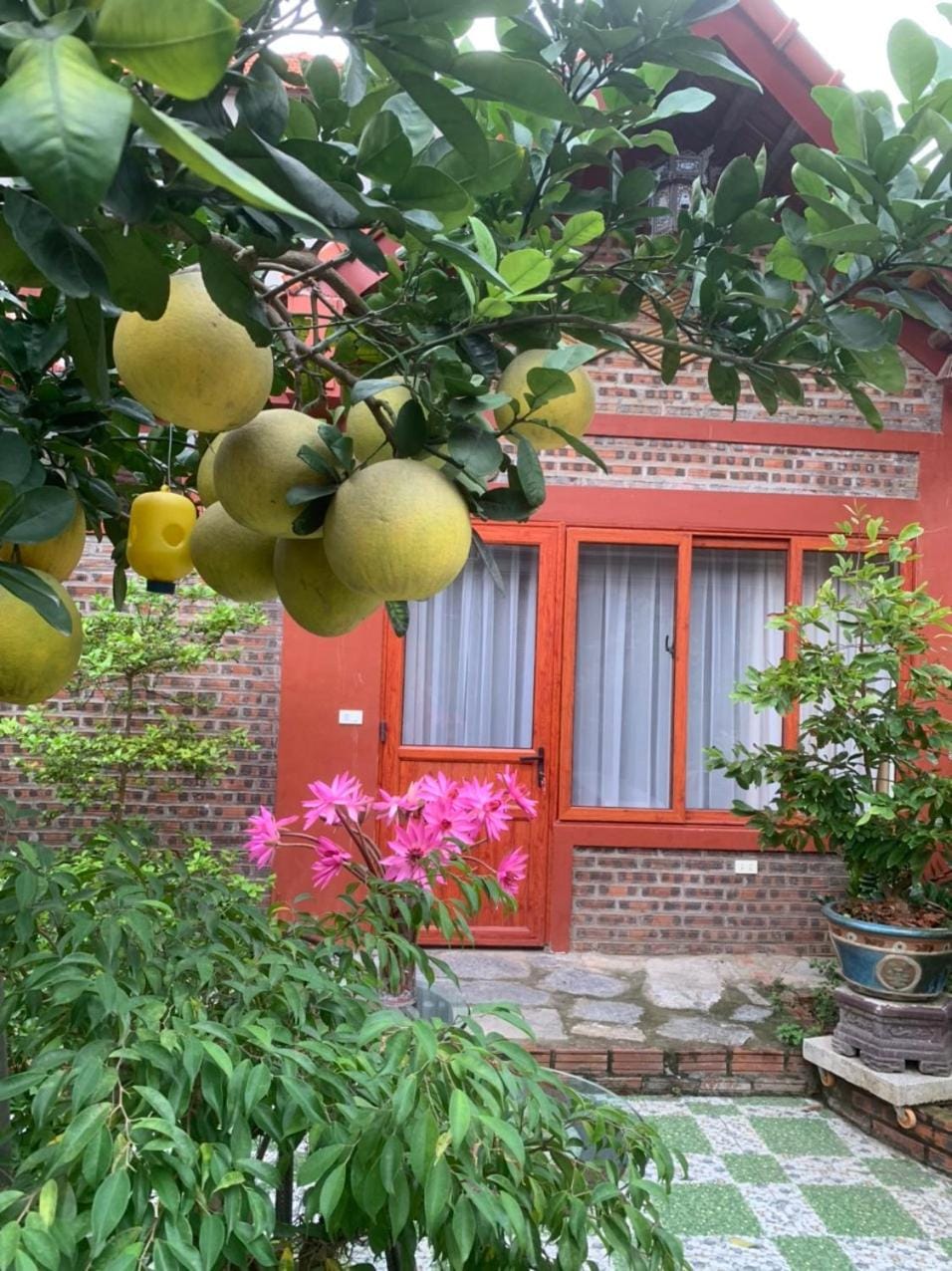 Day, Garden, Garden view