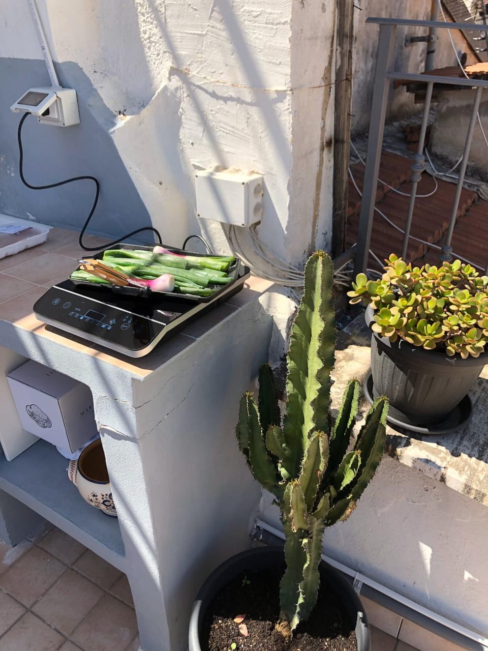 Balcony/Terrace, Food and drinks, Food, Lunch