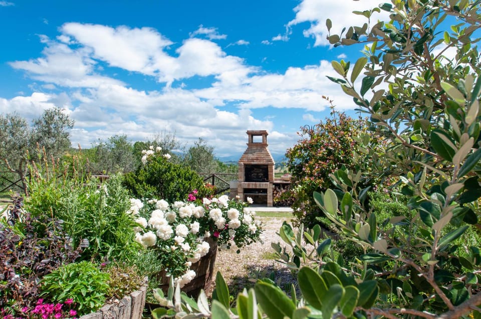 BBQ facilities, Garden