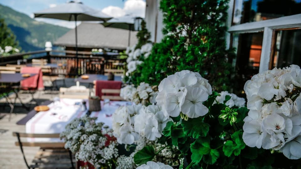 Summer, Balcony/Terrace, Lunch