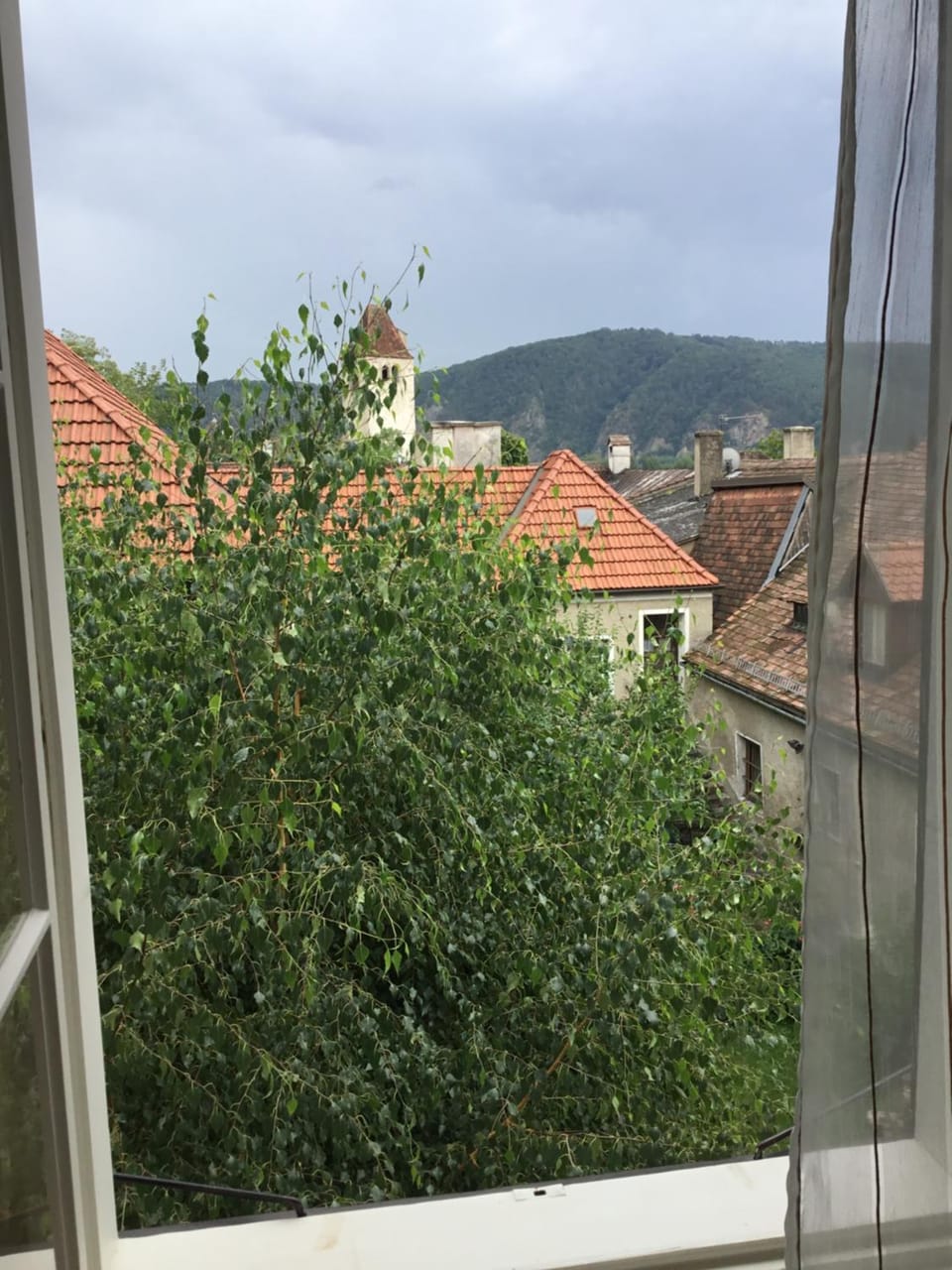 Garden view