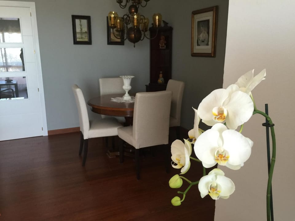 Seating area, Dining area