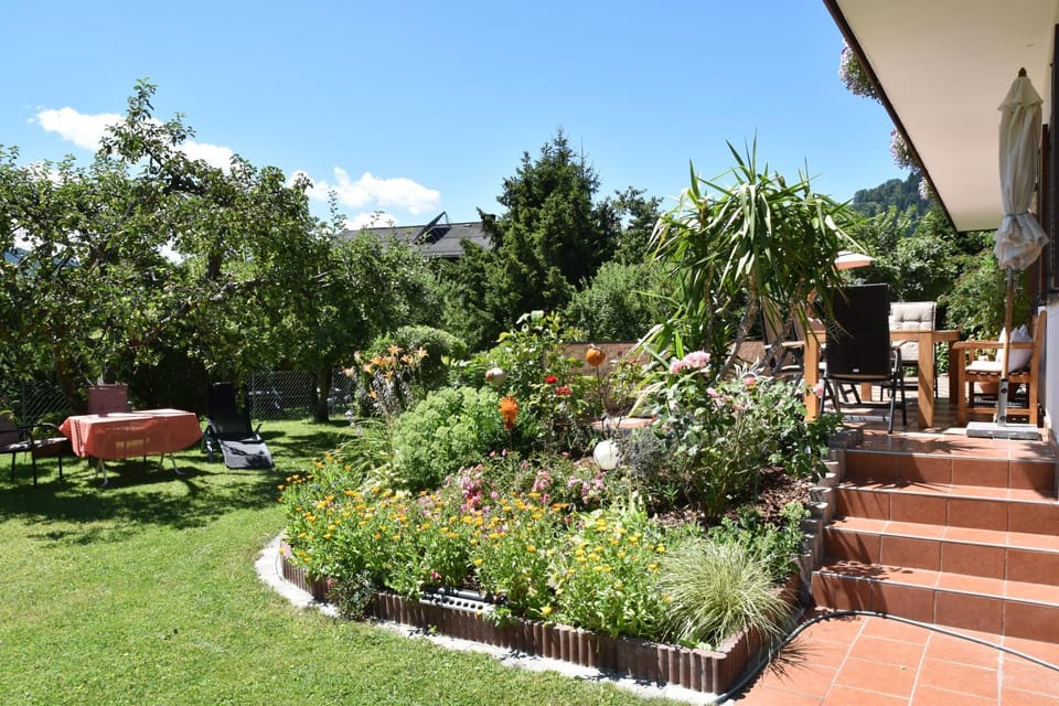 Summer, Garden, Garden view