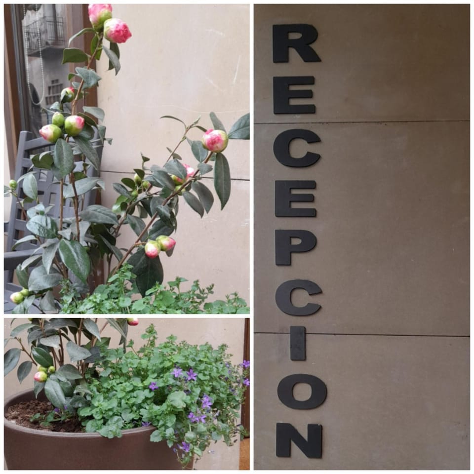 Facade/entrance, Day, Balcony/Terrace, Lobby or reception
